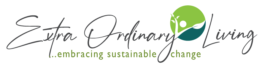 Extra Ordinary Living - Embracing sustainable change